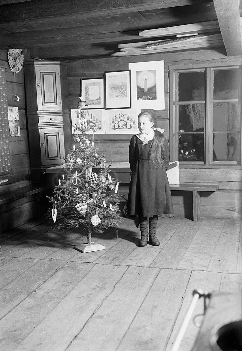 Fra Budal i Trøndelag i 1910. Da var juletrærne på full vei inn i norske hus og hytter, men virkelig allemannseie ble ikke grana før i mellomkrigstida. Foto: Amund Alstad/ Sverresborg Trøndelag folkemuseum