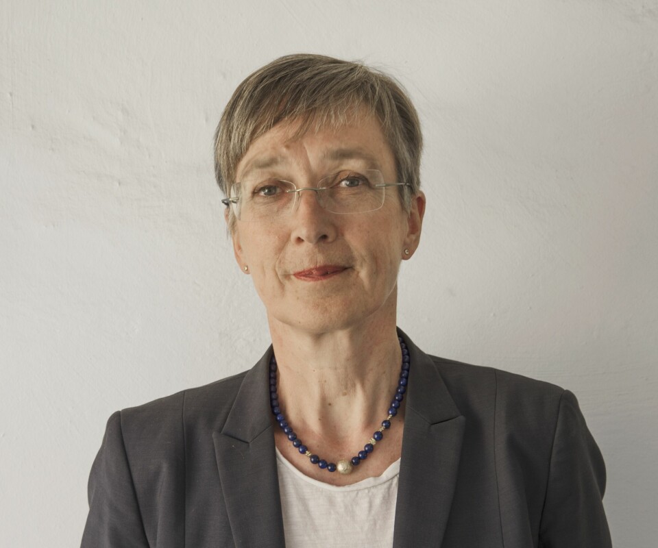Kristin Bakken er avdelingsdirektør med ansvar for kunnskapsutvikling hos Riksantikvaren. Foto: Riksantikvaren