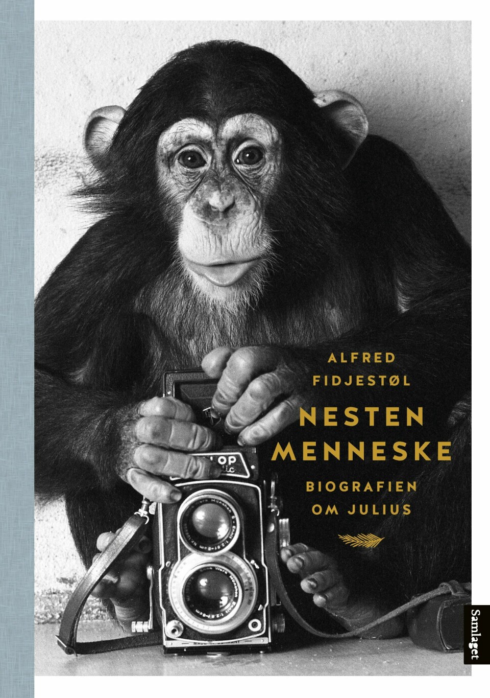 Alfred Fidjestøls apebiografi «Nesten menneske» er nå ute på Samlaget.