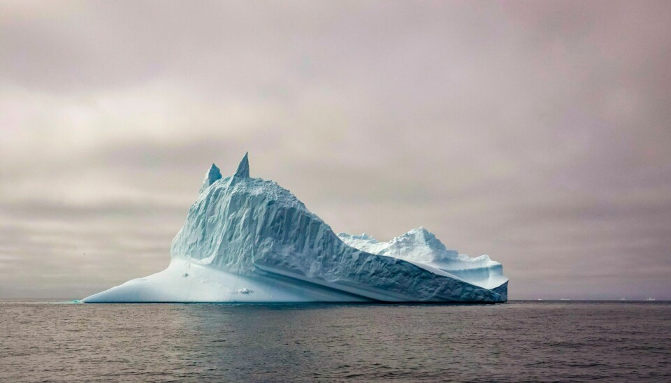 ISFJELL LEVER FARLIG: – Det som har noe å si for klimaet i Norge og Europa, er mengden varme i Golfstrømmen. Og selv om strømmen svekkes, blir hav og land varmere på grunn av den globale oppvarmingen, sier Marius Årthun ved Bjerknessenteret for klimaforskning i Bergen. Ammassalik, Grønland Drivende isfjell i Sermilikfjorden på Øst-Grønland. Ny og dyster forskning viser nemlig at selv om vi begrenser CO₂-utslippene og oppfyller målsettingene i Parisavtalen, så vil isen som dekker det meste av Grønland smelte i rekordfart. Flere og flere isfjell løsner fra de massive breene fra innlandsisen. Sakte smelter de drivende i fjordene og langs kysten. Hvert år reduseres is mengden på Grønland med ufattelige 250 milliarder tonn is, ifølge klimaforskere. Det forsvinner mer is i løpet av sommeren enn det som kommer tilbake om vinteren. kajakker padler blant smeltende isfjell i Sermilikfjorden på Øst-Grønland.Foto: Heiko Junge / NTB
