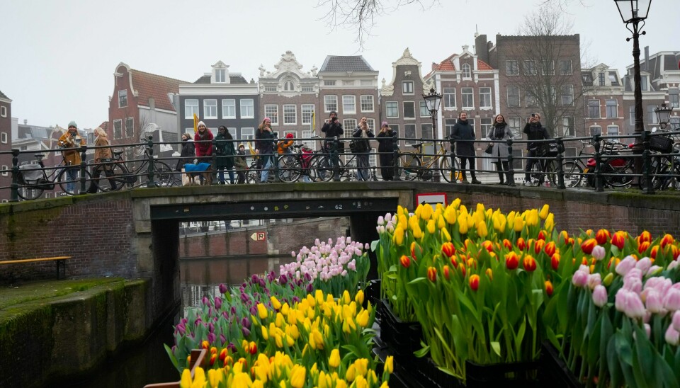 BRYTER MED MOSKVA: Den russisk-ortodokse kirken i Amsterdam har bedt den russiske erkebiskopen for Nederland om avskjed og søkt opptakelse i Konstantinopel-patriarkatet (Istanbul). People wait on bridges for a free bouquet of tulips in Amsterdam, Netherlands, Saturday, Jan. 15, 2022. Stores across the Netherlands cautiously re-opened after weeks of coronavirus lockdown, and the Dutch capital's mood was further lightened by dashes of color in the form of thousands of free bunches of tulips handed out by growers sailing with a boat through the canals. (AP Photo/Peter Dejong)