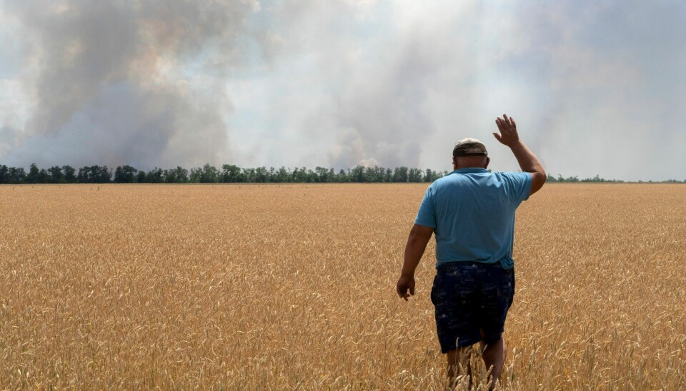 En ukrainsk bonde ser på at kornåkeren hans brenner etter et angrep i Dnipropetrovsk-regionen i Ukraina. Det har vært samtaler mellom Ukraina og Russland i Tyrkia denne uken om mulig korneksport. Ein ukrainsk bonde ser på at kornåkeren hans brenn etter eit angrep i Dnipropetrovsk-regionen i Ukraina. Foto: Efrem Lukatsky / AP / NTB