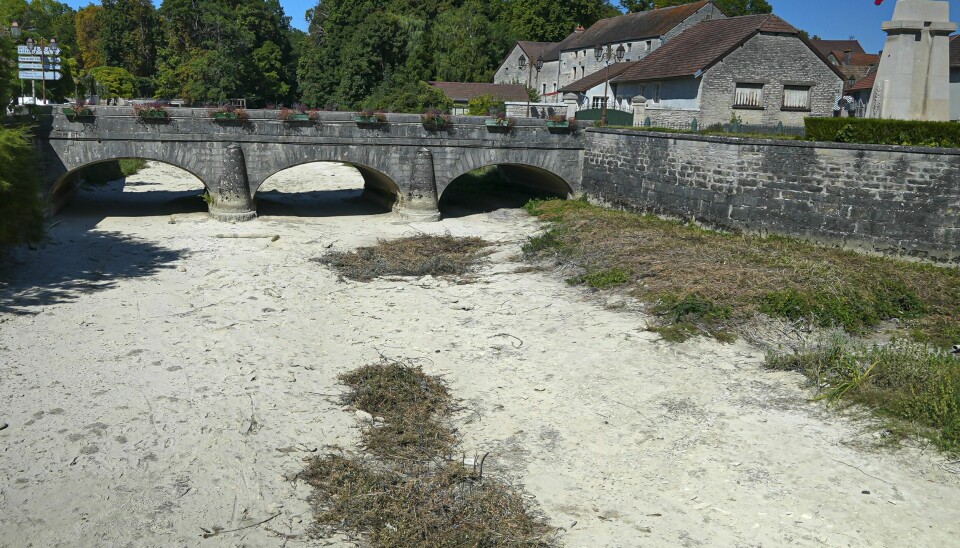INNTØRKET: Elven Tille i Lux i Frankrike så slik ut i forrige uke. Bourgogne er vanligvis en grønn og frodig region. I elva Tille i Lux i Frankrike var det ikke mye vann å se tirsdag 9. august.