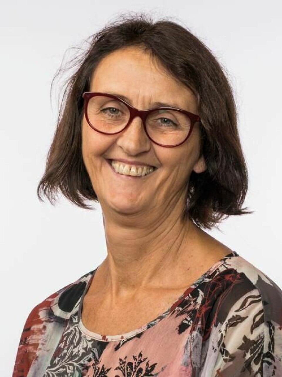 Kari Henriksen, Arbeiderpartiet, Vest-Agder