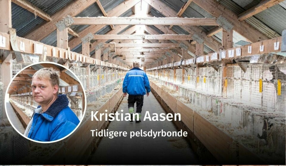 ARBEIDSLEDIG: Tidligere mink- og storfeprodusent Kristian Aasen venter fortsatt på erstatning etter at regjeringen forbød pelsdyroppdrett i 2019. I dag er han arbeidsledig. Bildet ble tatt da Vårt Land besøkte gården hans i 2019. Kristian Aasen, pelsdyroppdrett, debatt