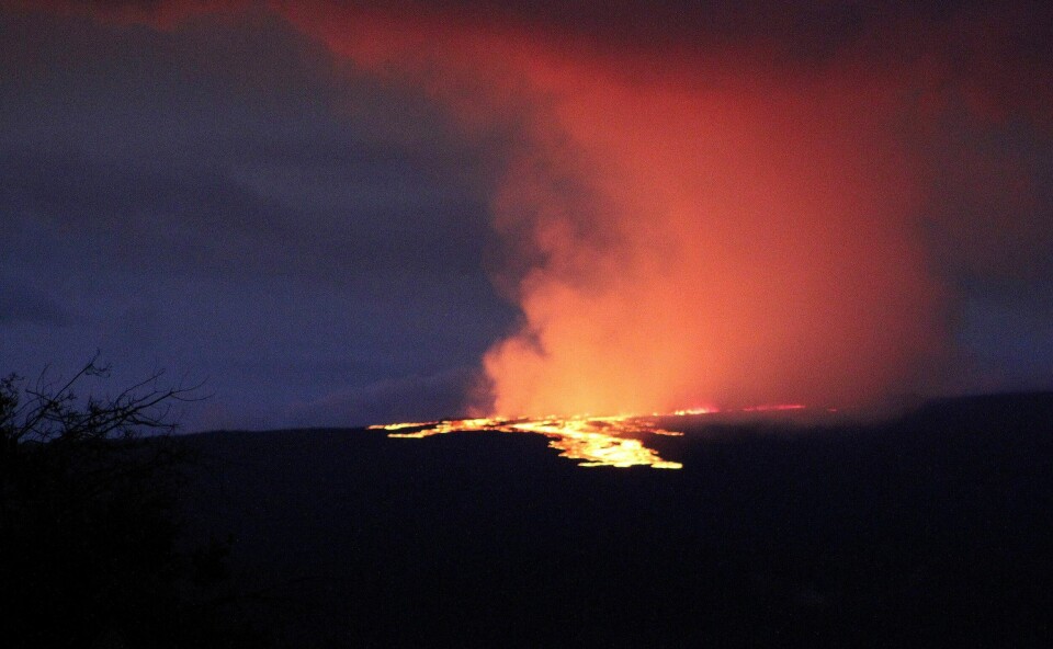 VULKANUTBRUDD: Lava strømmer ut av krateret til vulkanen Mauna Loa på Hawaiis Big Island mandag morgen. Lava strømmer ut av krateret til vulkanen Mauna Loa på Hawaiis Big Island mandag morgen. Foto: Chelsea Jensen / West Hawaii Today via AP / NTB