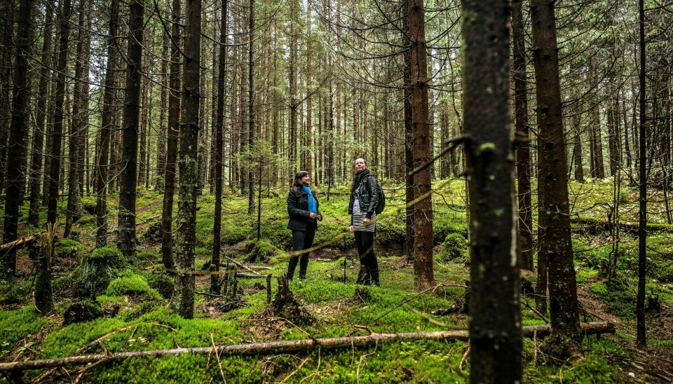 – Det tar lang tid før et nyplantet tre tar opp like mye CO2 som en gammel skog gjør, sier Trude Myhre, rådgiver i WWF. Her er hun sammen med Josefina Brana-Varela i WWF da hun var på besøk i Norge for å snakke om FNs klima- og skogprogram for noen år siden.