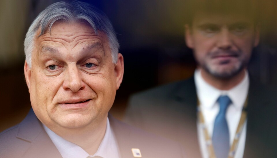 Ungarns statsminister Viktor Orban leder det nasjonalkonservative partiet Fidesz. Nå inngår partiet en allianse med Østerrikes FPÖ – en allianse som «alle partier» skal kunne delta i. Foto: Geert Vanden Wijngaert / AP / NTB Ungarns statsminister Viktor Orban leder det nasjonalkonservative partiet Fidesz. Nå inngår partiet en allianse med Østerrikes FPÖ – en allianse som «alle partier» skal kunne delta i. Foto: Geert Vanden Wijngaert / AP / NTB