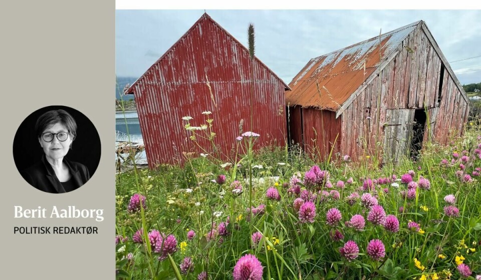 «Å komme til mormor og morfar var å bli tatt kjærlig imot. Men nå sto øya, sommeren, fjæra, de røde små naustene langs veien og lek for tur.», skriver Berit Aalborg Barndomssomre