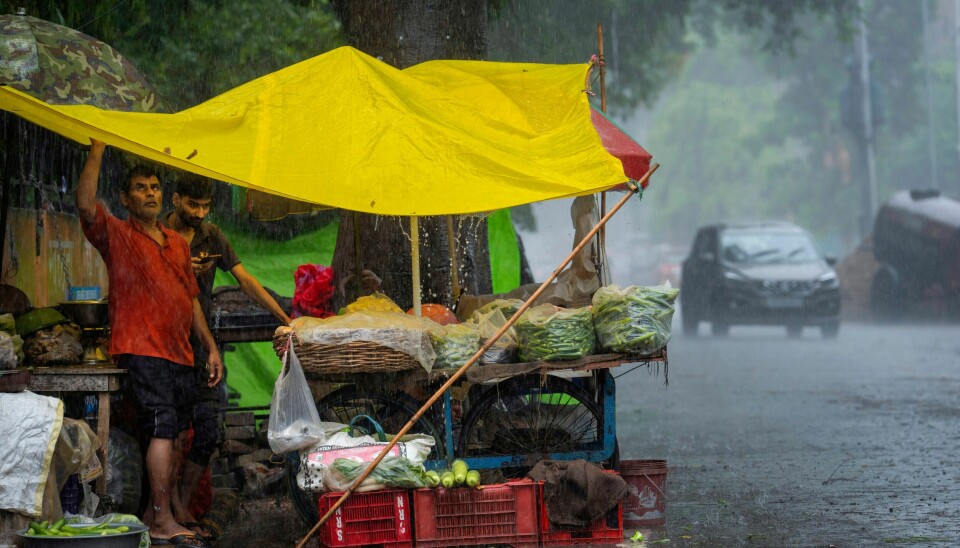 STYRTREGN: Flere delstater nord i India har vært rammet av kraftig styrtregn den siste uken. Flere delstater nord i India har vært rammet av kraftig styrtregn den siste uken. Foto: Rajesh Kumar Singh / AP / NTB