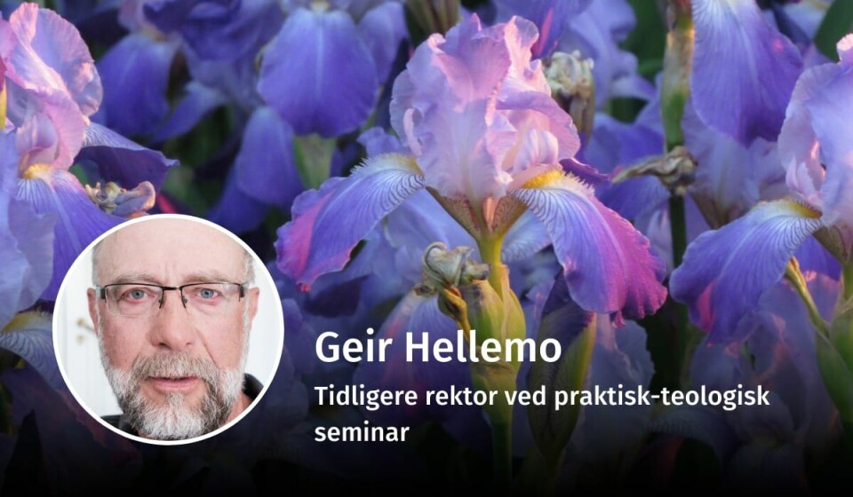 HEMMELIGHETSFULL BLOMST: – Irisen kan representere to ulike måter å forholde seg til verden på, skriver Geir Hellemo. Han har latt seg inspirere av poeten Louise Glück. Geir Hellemo