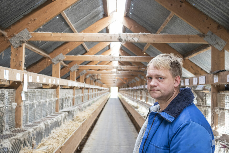 Kristian Aasen, arbeidsledig, forhenværende mink- og storfeprodusent Kristian Aasen, pelsdyrbonde