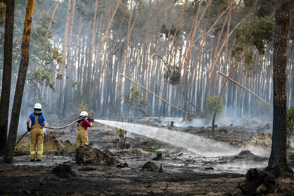 TYSKLAND: Brannmannskap slukker lommer med brann i et skogområde ved Falkenberg i Tyskland. Brannmannskap slukker lommer med brann i et skogområde ved Falkenberg i Tyskland. Foto: Jan Woitas / DPA via AP / NTB
