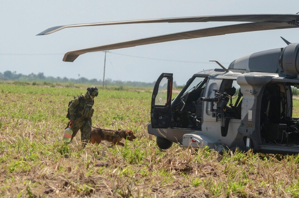 MEXICO: Den seks år gamle hunden Max sporet opp Rafael Caro Quintero. Her følges Max til et helikopter av en marinesoldat under fredagens aksjon. Den seks år gamle hunden Max sporet opp Rafael Caro Quintero. Her følges Max til et helikopter av en marinesoldat under fredagens aksjon. Foto: Guillermo Juarez / AP / NTB