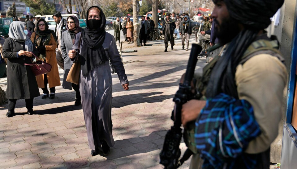 AFGHANISTAN: En Taliban-soldat står vakt i Kabul i februar. Det er nå ett år siden Taliban tok over makten i Afghanistan. En Taliban-soldat står vakt i Kabul i februar. Det er nå ett år siden Taliban tok over makten i Afghanistan. Foto: Hussein Malla / AP / NTB
