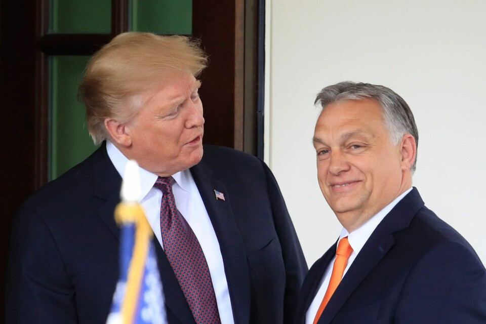 HYLLES: Ungarns statsminister Viktor Orban (t.h.) hyller det han sier er en vakker seier for Republikanernes presidentkandidat Donald Trump i USA. Ungarns statsminister Viktor Orban (t.h.) hyller det han sier er en vakker seier for Republikanernes presidentkandidat Donald Trump i USA. Foto: Manuel Balce Ceneta / AP / NTB