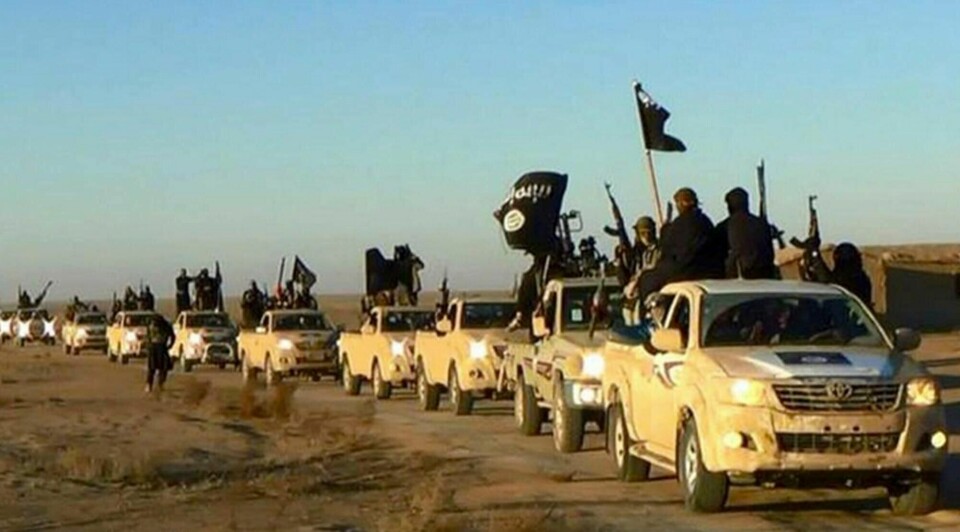 IS har mistet 99,5 prosent av områdene de kontrollerte i Syria og Irak. Dette bildet viser en IS-konvoi på vei til sin «hovedstad» Raqqa sommeren 2014.