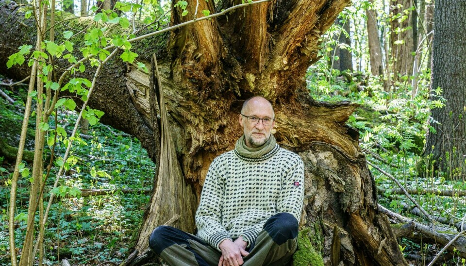 Mener naturens karbonlager kan spille en stor rolle - ønsker avgift på nedbygging av natur