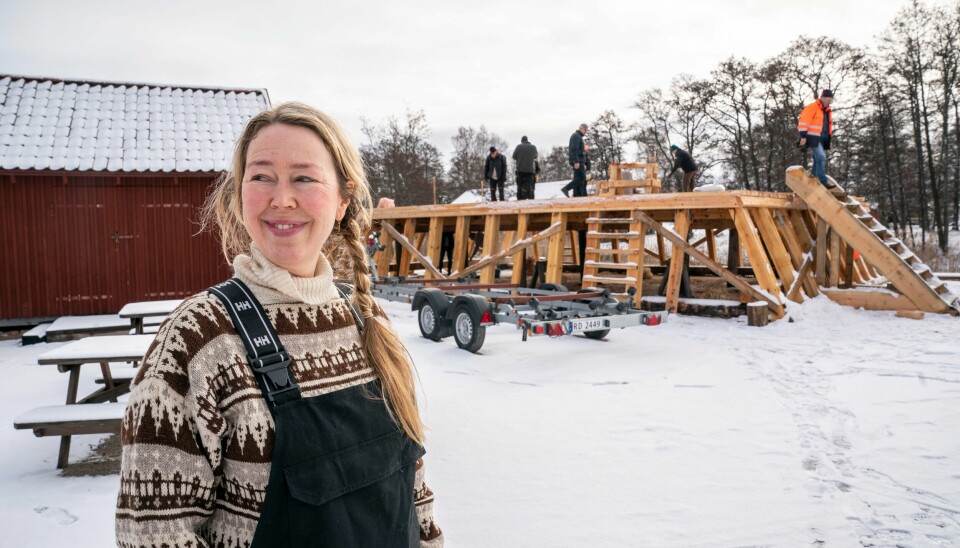 Trenger tømmer til katedralen
