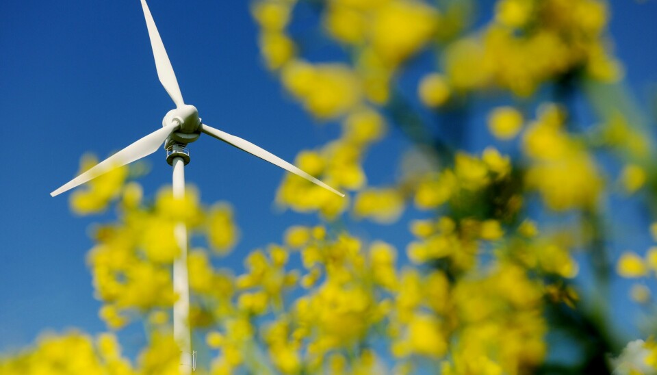 SLIK SER DE UT: Ein kraftig auke i fornybare energikjelder som vind og sol skal hjelpe Danmark med å kutte ut naturgass innan 2030. En kraftig økning innen fornybare energikilder som vind og sol skal hjelpe Danmark med å kutte ut naturgass innen 2030. Illustrasjonsfoto: Frank May / NTB