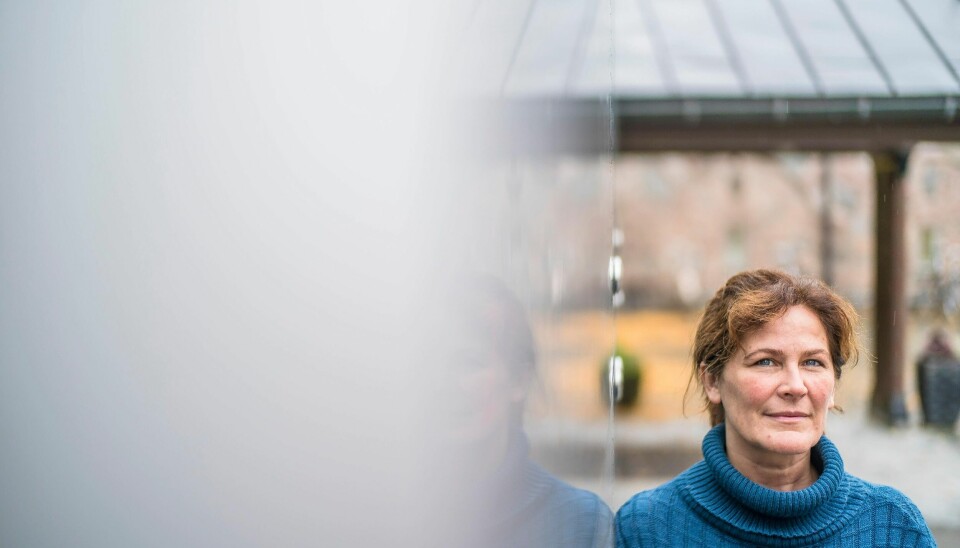 Forfatter av boka, Ingvill Thorson Plesner, synes det er mange interessante punktet angående tros- og livssynsfeltet i den nye regjeringsplattformen. Hun ser tydelige tegn fra Kristelig Folkeparti.r.