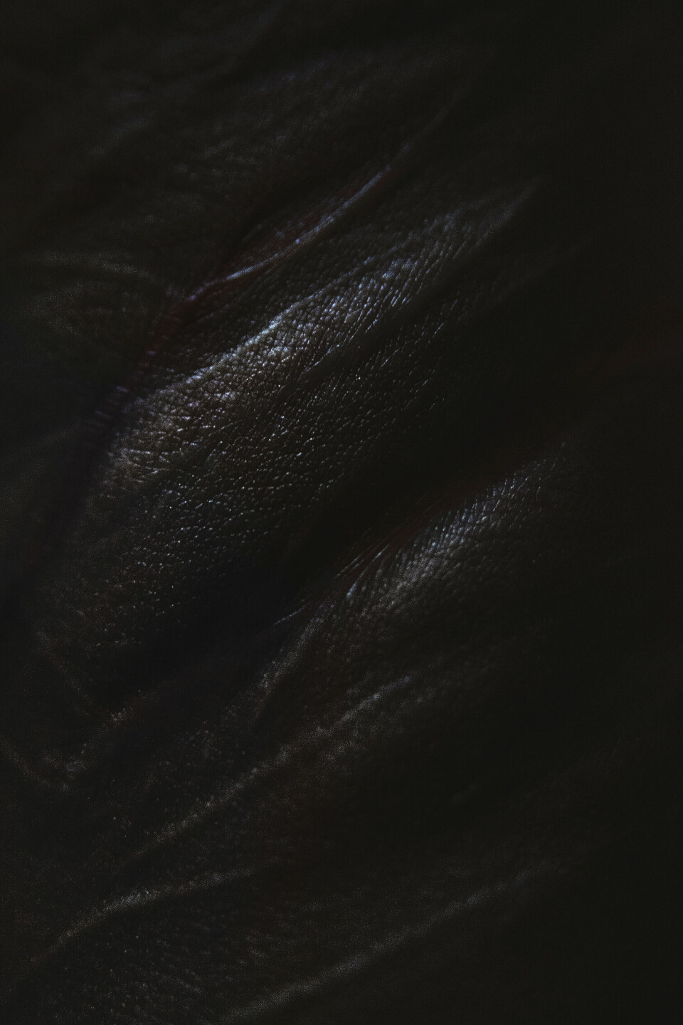 «Et forsøk på å prate om psykisk sykdom, som er utrolig vanskelig å visualisere. Subjektene har eierskap i sine egne bilder. Det er ikke fotografens tolkning», skriver juryen i begrunnelsen. Foto: Therese Alice Sanne
