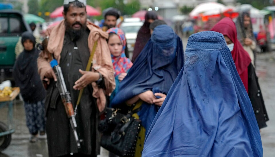 Afghanske kvinner på et marked i Kabul mens en Taliban-kriger passer på. Foto: Ebrahim Noroozi / AP / NTB Afghanske kvinner på et marked i Kabul mens en Taliban-kriger passer på. Foto: Ebrahim Noroozi / AP / NTB