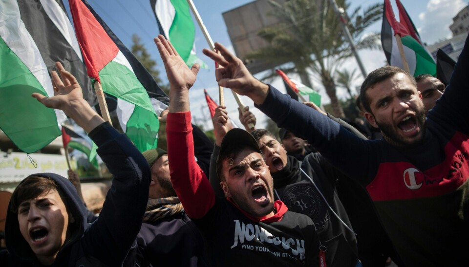 Palestinske demonstranter protesterer mot president Trumps fredsplan 28. januar 2020.