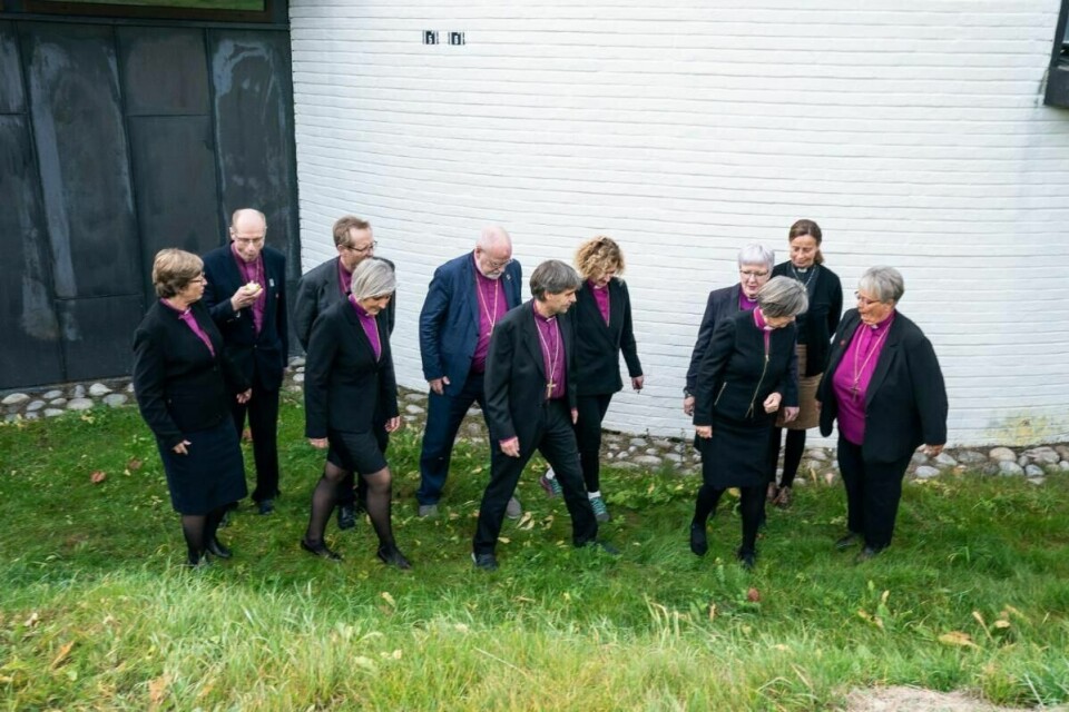 Bispemøtet i Den norske kirke. Helga Haugland Byfuglien – fast preses i Bispemøtet Solveig Fiske, biskop av Hamar Ingeborg Midttømme, biskop av Møre Halvor Nordhaug, biskop av Bjørgvin Atle Sommerfeldt, biskop av Borg Stein Reinertsen, biskop av Agder og Telemark Olav Øygard, biskop av Nord-Hålogaland Ann-Helen Fjeldstad Jusnes, biskop av Sør-Hålogaland Anne Lise Ådnøy, konstituert biskop i Stavanger Herborg Oline Finnset, biskop av Nidaros Kari Veiteberg, biskop av Oslo Jan Otto Myrseth, biskop av Tunsberg.