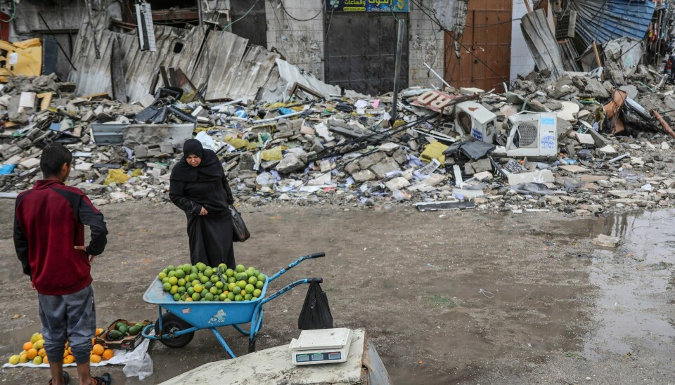 En palestinsk kvinne ser på frukt som er til salgs i Gaza by mandag. Selv om mange palestinere var negative til Hamas før angrepet på Israel, kan dette ha endret seg, ifølge en amerikansk-palestinsk forsker. Foto: Mohammed Hajjar / AP / NTB En palestinsk kvinne ser på frukt som er til salgs i Gaza by mandag. Selv om mange palestinere var negative til Hamas før angrepet på Israel, kan dette ha endret seg, ifølge en amerikansk-palestinsk forsker. Foto: Mohammed Hajjar / AP / NTB