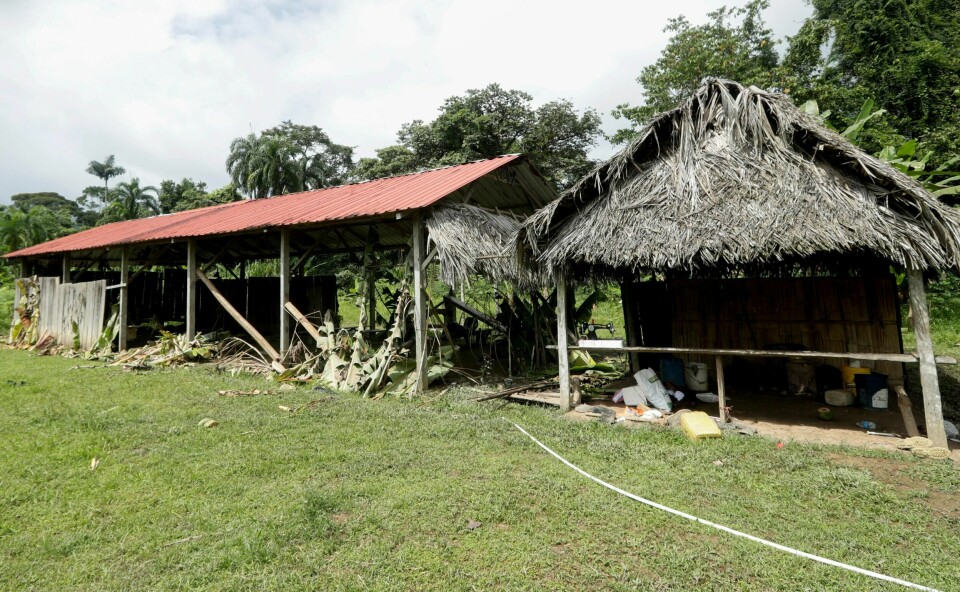 Det forlatte tempelet hvor en gravid kvinne og fem av hennes barn og en nabo ble drept i et religiøst ritual i El Terronn, Panama. De grusomme drapene skjedde i januar i 2020, og knyttes ikke til det massegraven som har blitt avdekket nå. Men begge funnene har skjedd i samme område i Panama. (AP Photo/Arnulfo Franco)