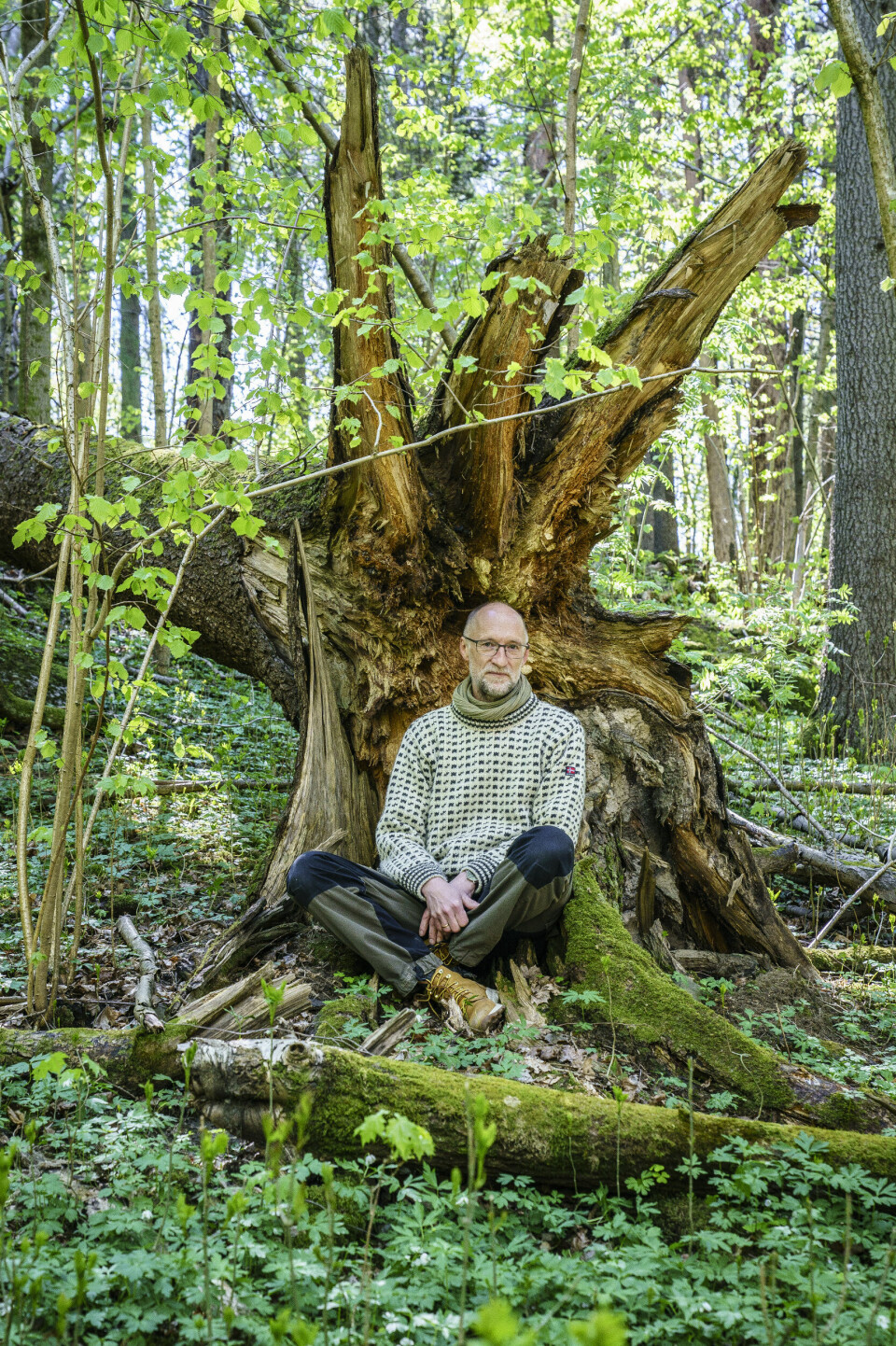 Jon Bjartnes i Verdens naturfond (WWF) har slått seg ned i Skotta naturreservat ved Dælivann i Bærum. Edellauvskogen her er verdens nordligste, og det er ikke lov å fjerne noe vegetasjon i området.