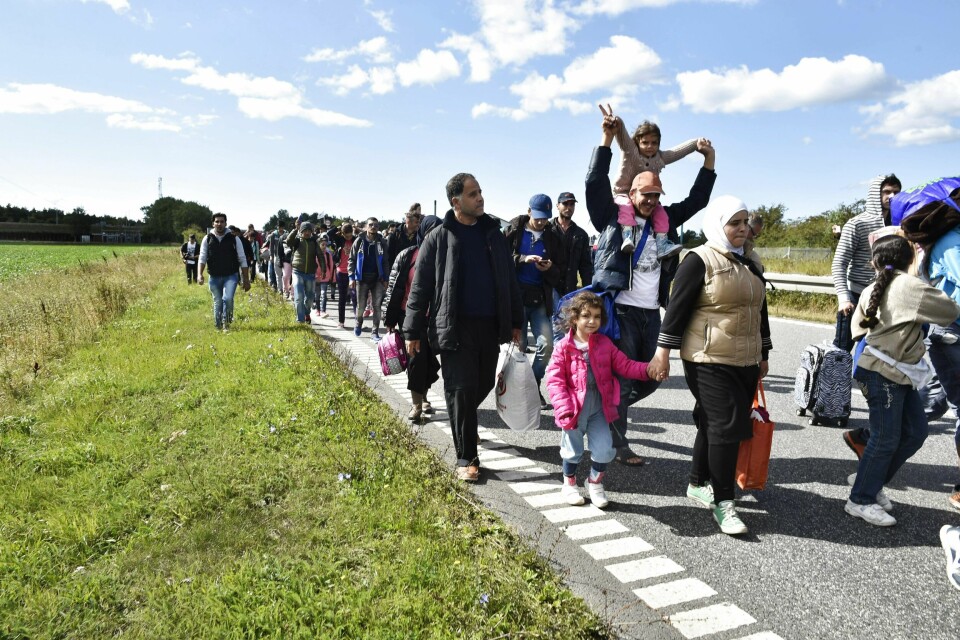 Myndigheters advarende nettkampanjer har liten effekt på bremsing av flyktningstrøm. Her fra 2015 hvor en gruppe migranter går fra Rødby i Danmark mot Sverige med ønske om å søke asyl.