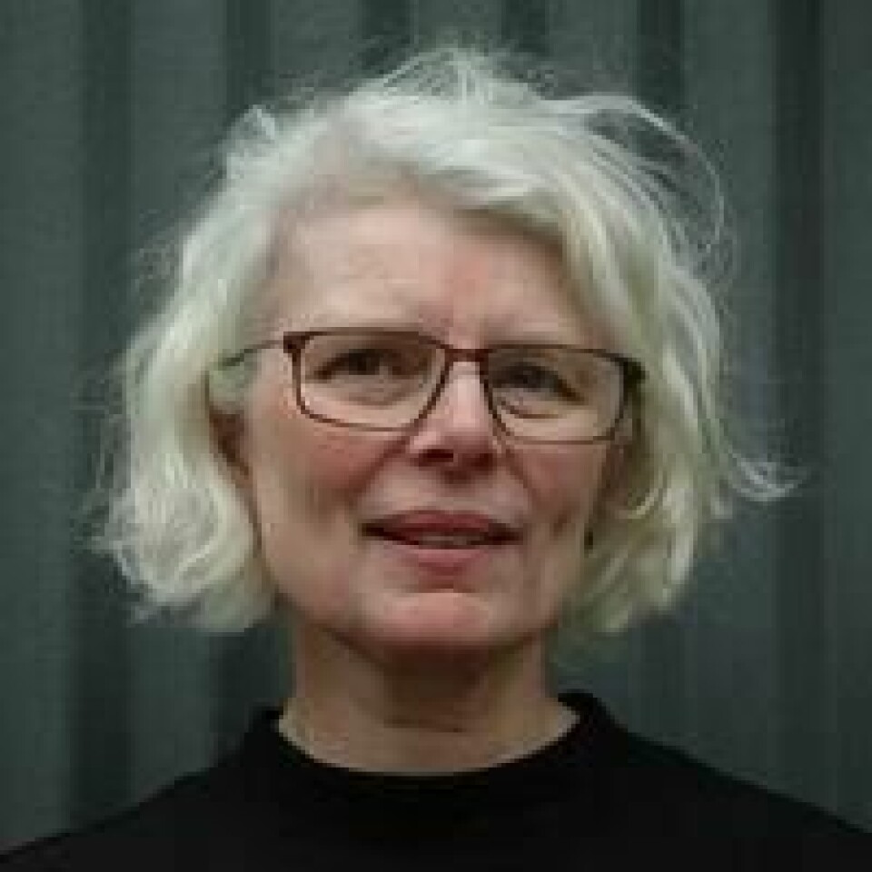Gudsbildet utfordres hvis det menneskelige mangfold blir noe som en mektig gud skal korriger, skriver Inger Marie Lid