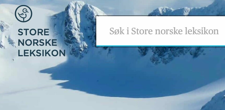 Leksikondebatt: Store norske leksikon kritiseres for bruk av aktivister som fagforfattere.