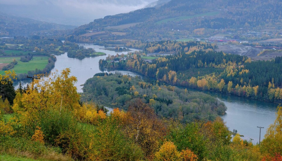 Elvedeltaet ved innløpet til Gudbrandsdalslågen ble vernet i 1990. Nå planlegges firefelts E6 med 110 km/t fartsgrense planlegges rett gjennom naturreservatet. Naturreservater har lovens strengeste vern. Foto: Erlend Berge.