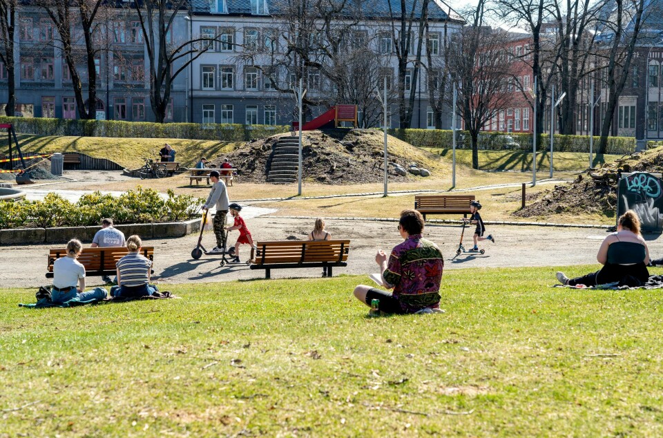 Folk var flinke til å holde korona avstand i Lademoenparken i Trondheim forrige uke.