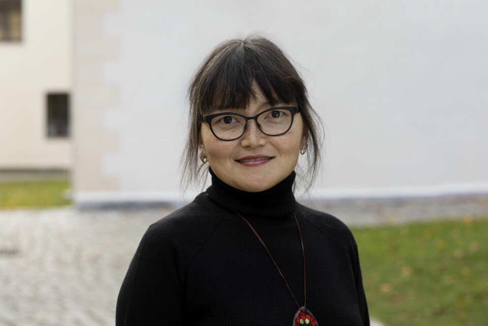 OVERVÅKER SITUASJONEN: Inna Sangadzhieva, seniorrådgiver i Den norske Helsingforskomité. Inna Sangadzhieva, seniorrådgiver, Den norske Helsingforskomité