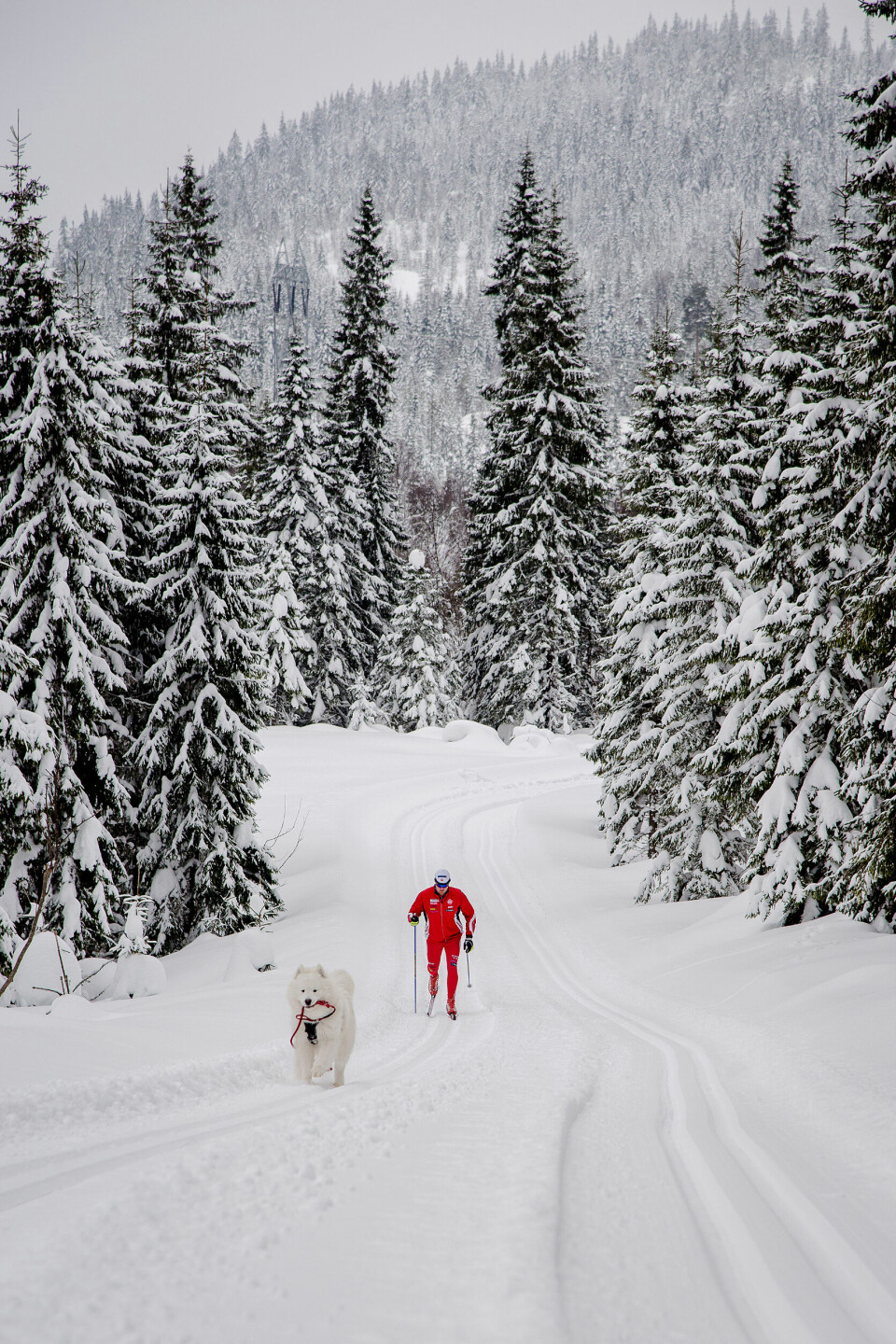 Stian Roos tar seg gjerne en tur i Guds frie natur når han er i innspurten på en preken, eller forbereder seg til å forrette en begravelse. Bikkje og følgesvenn Simba trives best når presten går skikkelig på.