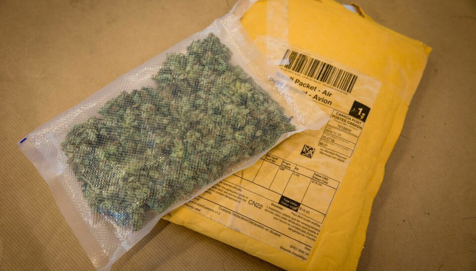 CANNABIS: Ei cannabissending som blei beslaglagd på Gardermoen. Ein av fire vaksne nordmenn oppgir å ha prøvd stoffet. Foto: Erlend Aas / NTB Venstre sier nei til salg av cannabis på apotek. Foto: Erlend Aas / NTB