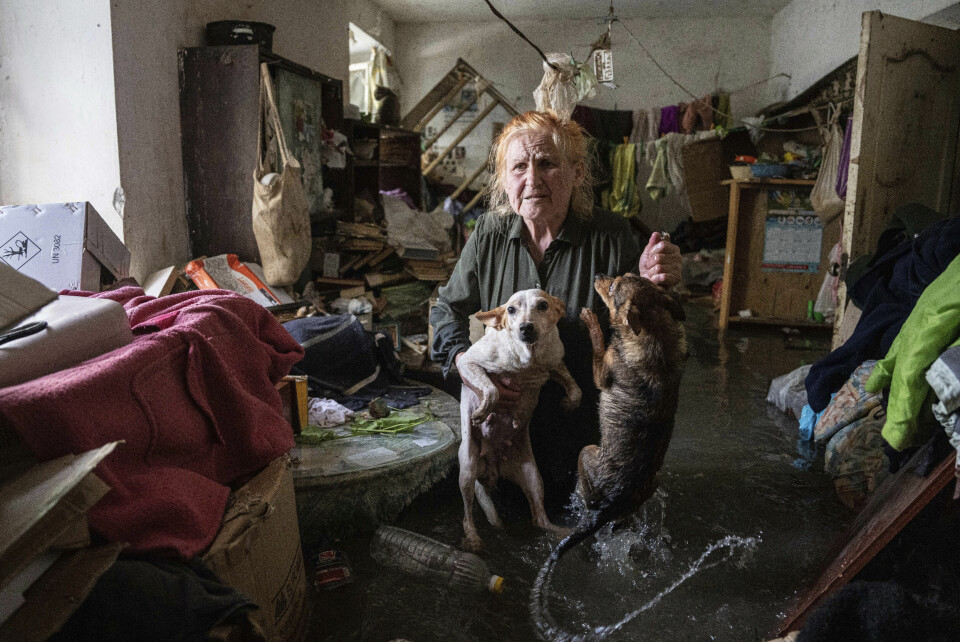 Kherson-innbygger Tetiana holder kjæledyrene sine, Tsatsa og Chunya, mens hun står inne i huset sitt som ble oversvømt etter at Kakhovka-demningen angivelig ble sprengt natt til tirsdag. Kherson-innbygger Tetiana holder kjæledyrene sine, Tsatsa og Chunya, mens hun står inne i huset sitt som ble oversvømt etter at Kakhovka-demningen angivelig ble sprengt natt til tirsdag. Foto: Jevhen Maloletka / AP / NTB