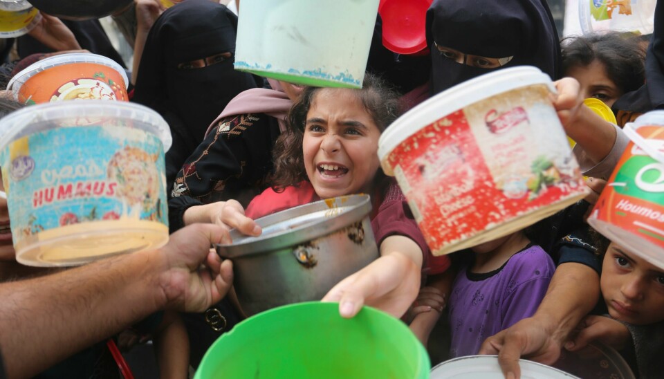 DESPERAT SITUASJON: Palestinere i matkø i Rafah på Gazastripen. Bildet er tatt på mandag. Palestinians line up for food during the ongoing Israeli bombardment of the Gaza Strip in Rafah on Monday, November 13, 2023. (AP Photo/Hatem Ali)
