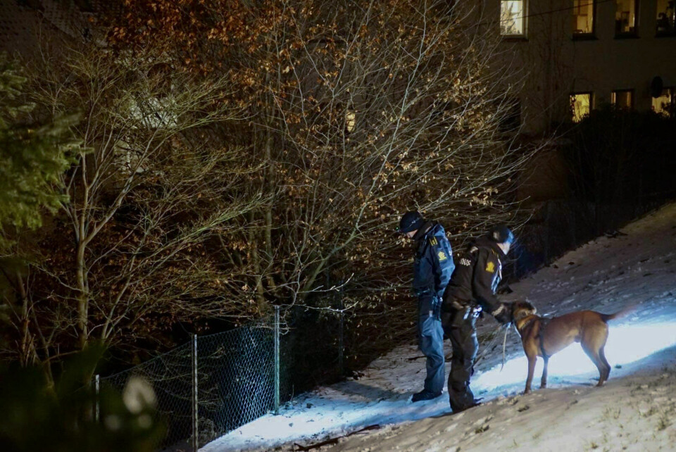 SØK: Polititet søker med hund. En mann er død, etter å ha blitt funnet skadd i en leilighet i Bergen onsdag. Saken etterforskes som drap. Politiet søkte med hund i nærheten av leiligheten der en mann ble funnet hardt skadd i Bergen onsdag ettermiddag. Foto: Sandor Dahl / Bergen Foto og Media / NTB