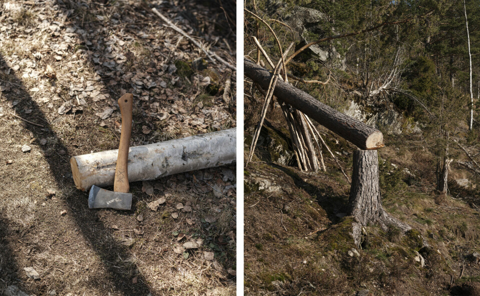 ARBEID: Munkene som lever her, er lydige mot St. Benedikts regel fra 500-tallet. Hylland munkelyd, Tinn i Telemark.