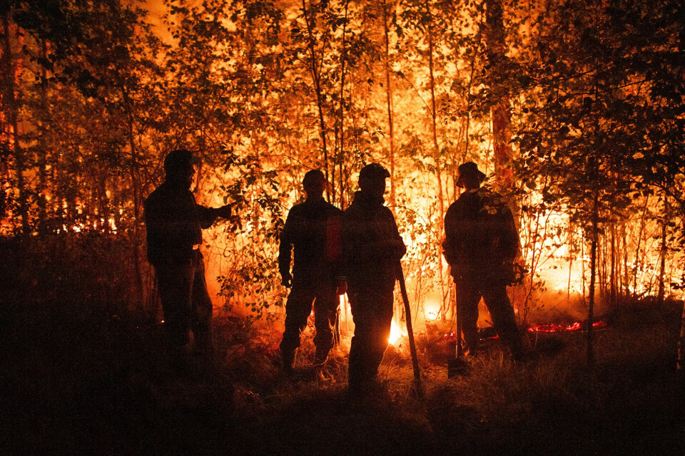 KNUSKTØRT: Sakha-regionen i Sibir har opplevd temperaturer opp mot 39 grader i sommer, og terrenget er knusktørt. Mandag måtte mange innbyggere evakueres. Firefighters work at the scene of forest fire near Kyuyorelyakh village at Gorny Ulus area, west of Yakutsk, in Russia Thursday, Aug. 5, 2021. Wildfires in Russia's vast Siberia region endangered a dozen villages Saturday and prompted authorities to evacuate some residents. (AP Photo/Ivan Nikiforov)
