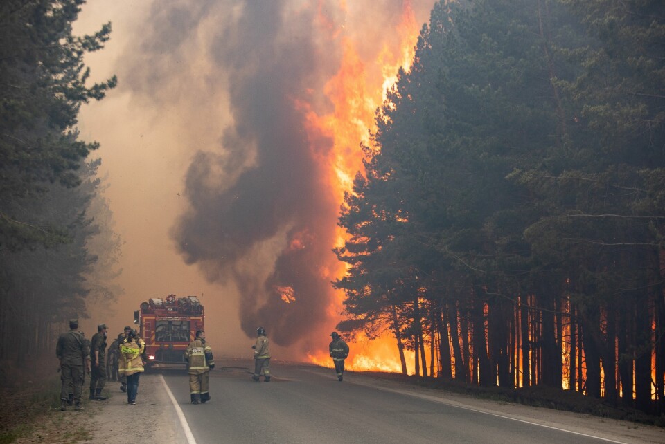 EN REKKE BRANNER: Allerede i midten av juni rykket brannmenn ut for å prøve å stoppe skogbrann i nærheten av byen Andreyevsky i Sibir. FILE - In this Wednesday, June 16, 2021 file photo, firefighters work at the scene of forest fire near Andreyevsky village outside Tyumen, western Siberia, Russia. Wildfires in Siberia are releasing record amounts of greenhouse gases, scientists say, contributing to global warming. Each year, thousands of wildfires engulf wide swathes of Russia, destroying forests and shrouding broad territories in acrid smoke. This summer has seen particularly massive fires in Yakutia in northeastern Siberia following unprecedented heat. (AP Photo/Maksim Slutsky, File)