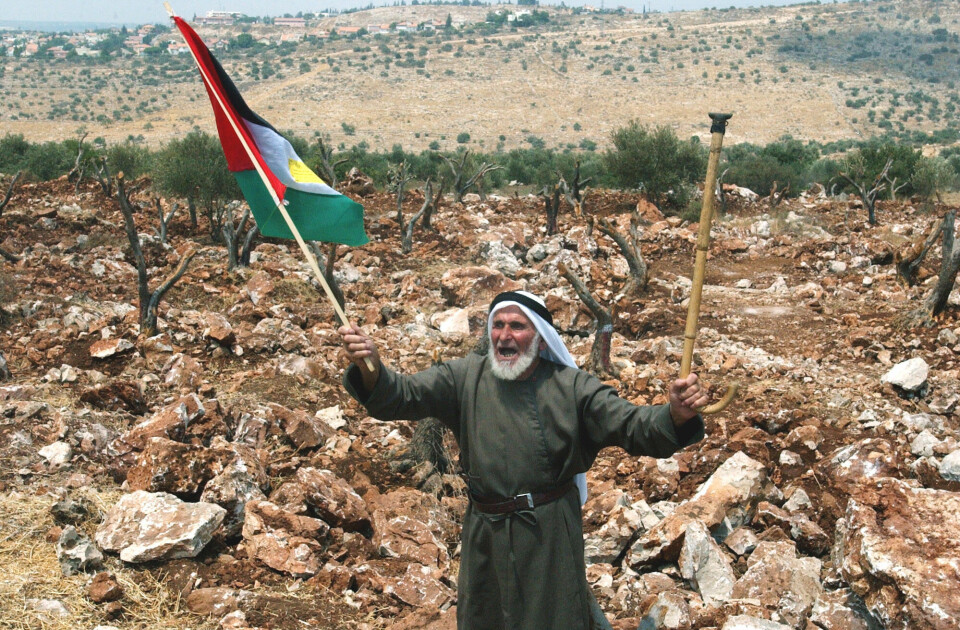 Palestinske Abdulrahman Yousef, (75), veiver det palestinske flagget i protest mot at israelske bulldosere har kjørt ned oliventrærne hans. Foto: Nasser Ishtayeh