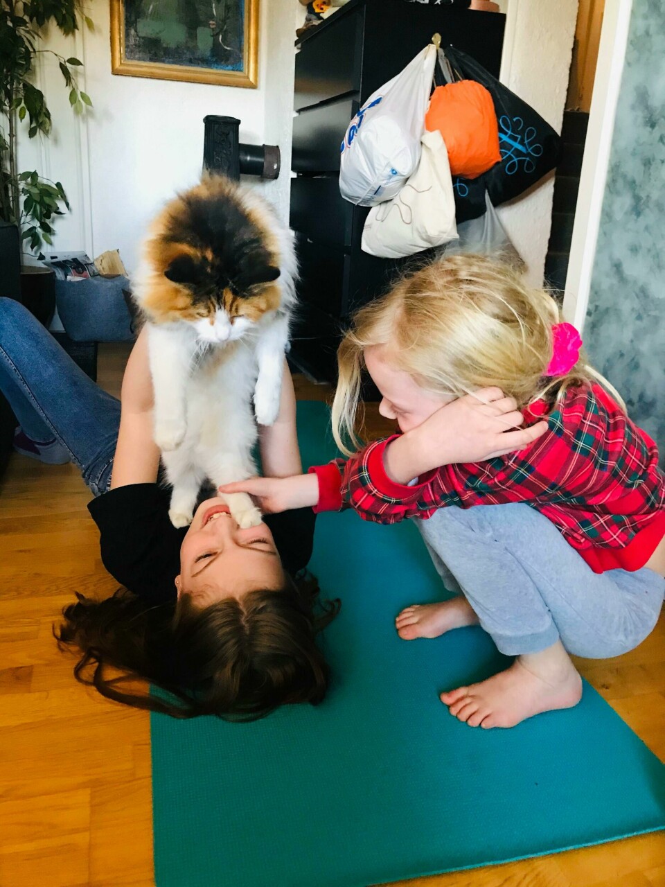 Se video: Ea (11) og Silje (8) har planen klar hvis alle de voksne blir smittet av virus ###