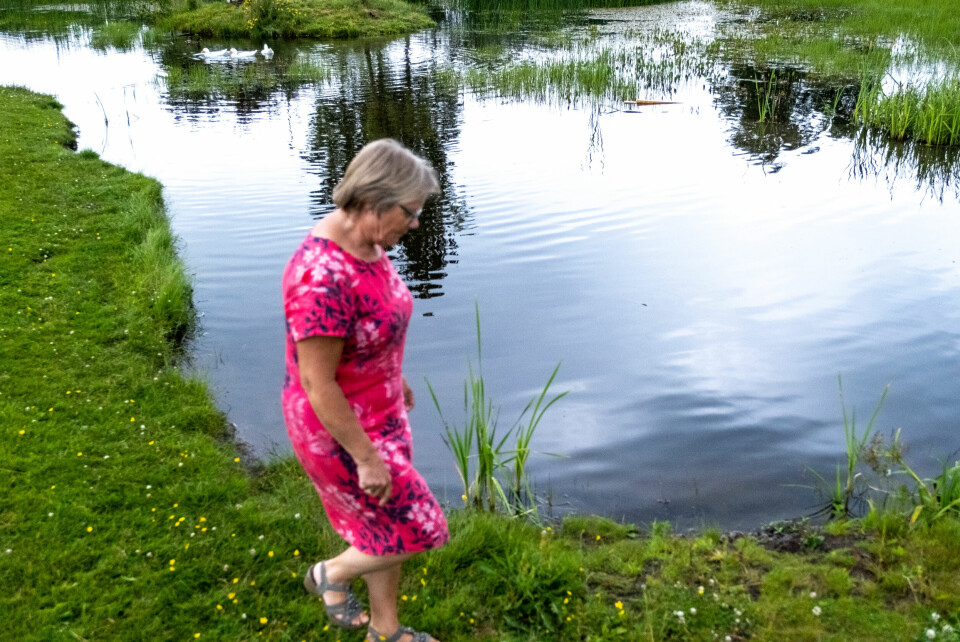 SJØLVSTUDIE: – Me skulle liksom ikkje lesa i Bibelen så mykje sjølve i Delk før, det var dei gamle kyrkjefedrane som skulle fortolke det som stod der for oss, fortel Torunn Haukvik Minnesjord. 26.06.22 Gjennestad, Norge. DELK markerer 150 år