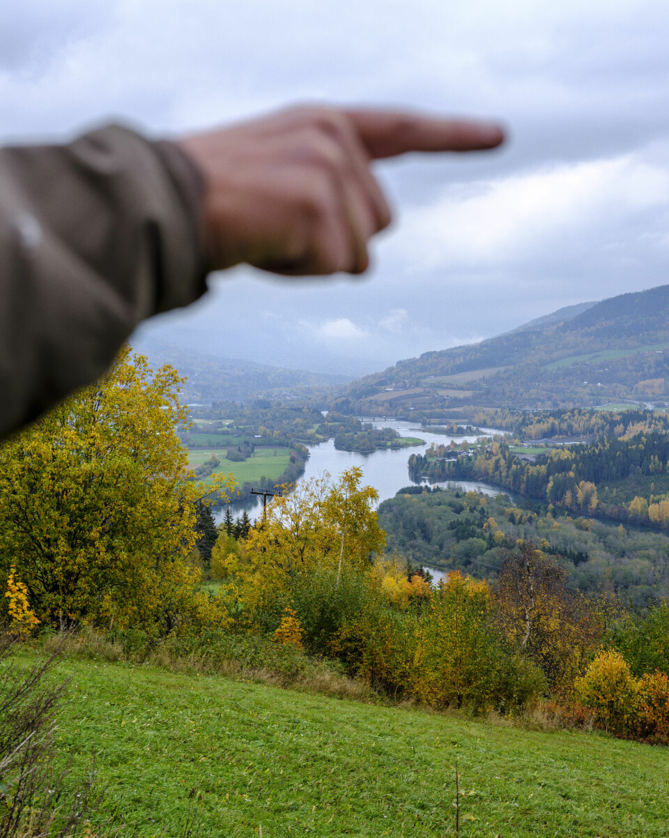 «En periode i sommer så jeg beveren nesten hver morgen, jeg fikk oppleve å se den svømme foran kajakken, før den plasket seg ned i dypet og bli borte. Neste dag var den der igjen. Man kunne like gjerne vært i Amazonas».